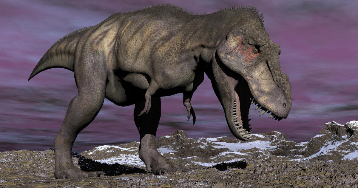 T-Rex, dinozaur cu sânge cald: Descoperire uimitoare din dinți