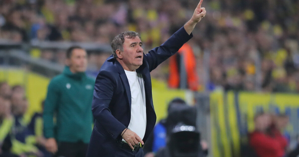 Hagi, OPTIMIST DUPĂ ÎNFRÂNGEREA CU SUEDIA