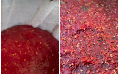 Roșii la borcan: Secretele celui mai gustos condiment