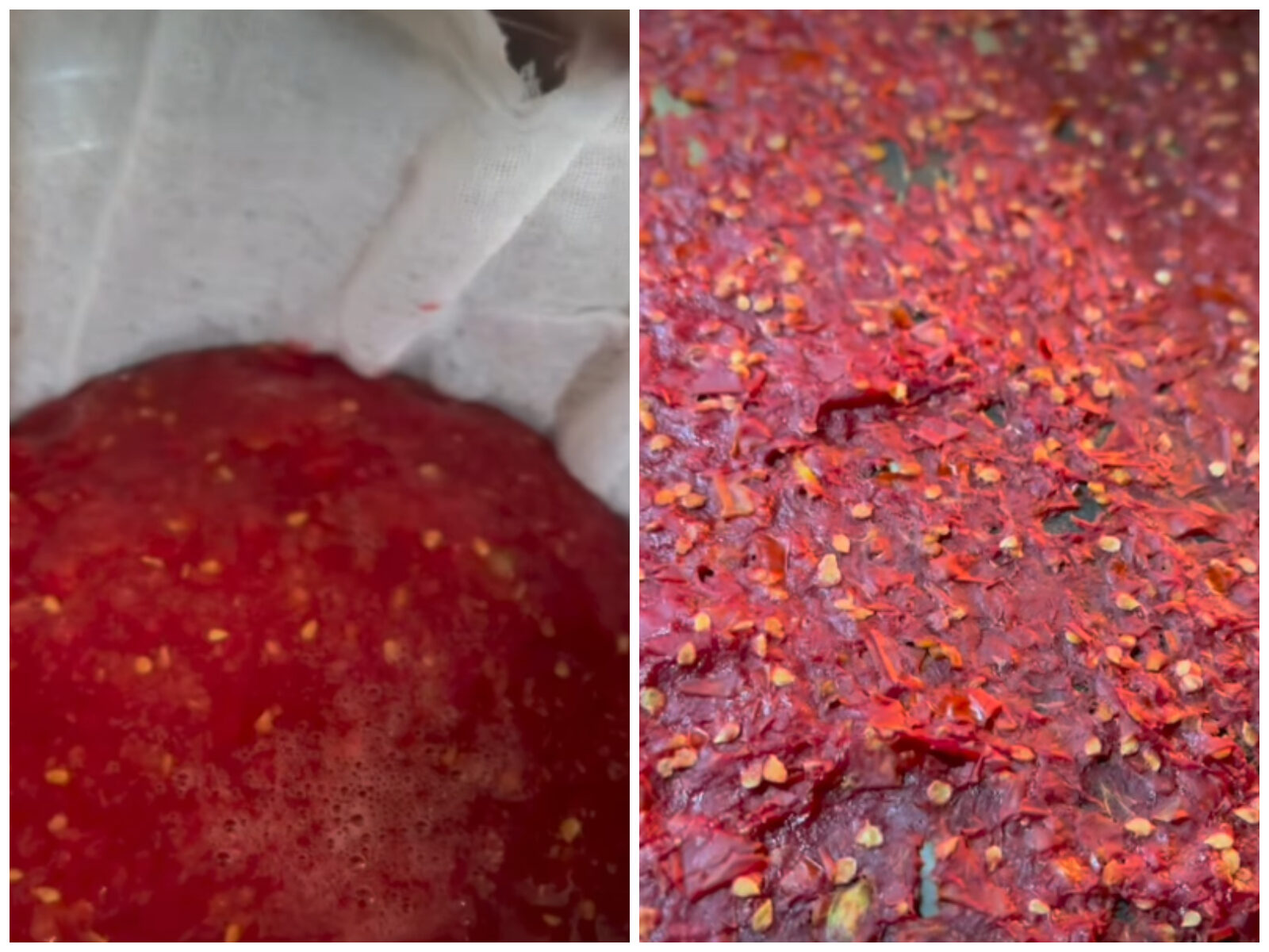 Roșii la borcan: Secretele celui mai gustos condiment