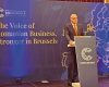 Șucu: Germania, Franța, Olanda ne-au investit în coeziunea Europei