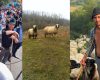 Și-a vândut armăsarul de 3.000 de euro ca să-și scoată din arest fratele reținut după protestul oierilor. Cioban cu 800 de oi și 5 copii, amenințat cu arest preventiv