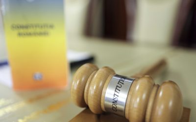 CCR: Daunele morale pentru victimele animalelor sălbatice, neconstituționale
