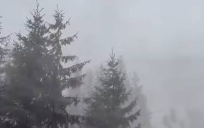 Iarna s-a instalat deja pe munte, la altitudini mari: ninsoare, vânt puternic, ceaţă. Avertismentul Salvamont Prahova