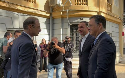 NICULESCU: Guvern hibrid, tehnocrat, cu acord politic
