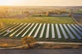 Polonia dă undă verde zonelor verzi pentru energie