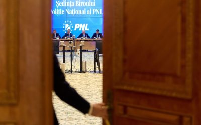 PNL în fierbere: Mulți liberali ezită să voteze guvernul Niculescu