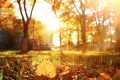 Octombrie: Meteorologii ANM anunță prognoza completă